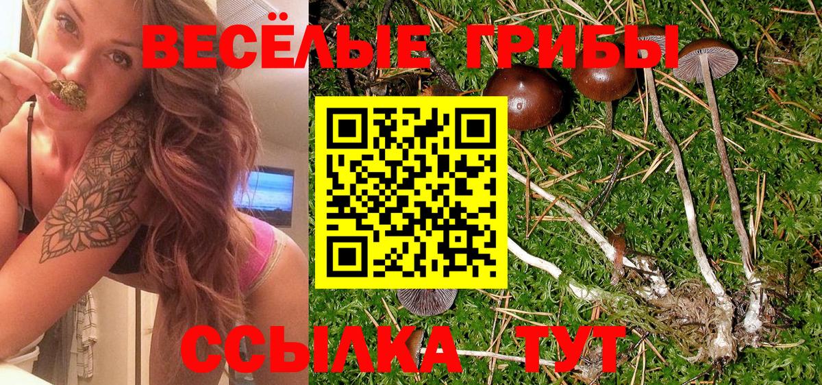 Галлюциногенные грибы Cubensis Ноябрьск
